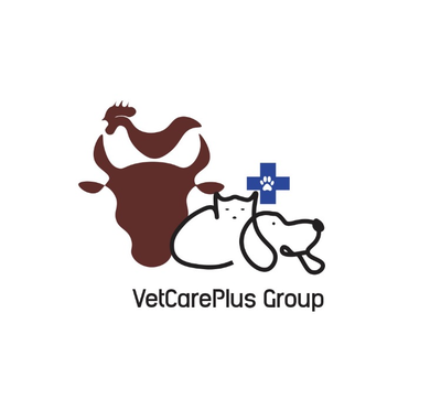 CLINIQUE VETERINAIRE VetCarePlus Group